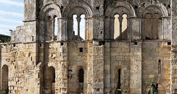 Saint-&Eacute;milion, une ville et son habitat m&eacute;di&eacute;val