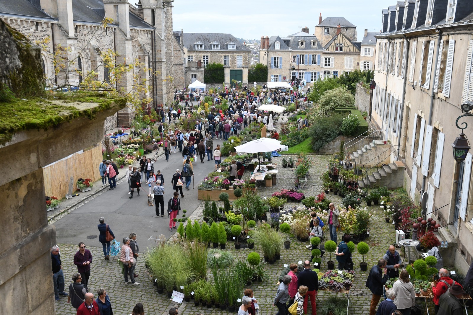 Aperçu général de l’allée Basile Moreau ( située sur le flanc nord de la cathédrale Saint-Julien) qui n’est qu’une infime partie de la manifestation « Entre cours et jardins ». © Ville du Mans Pierre Poirrier. Aperçu général de l’allée Basile Moreau ( située sur le flanc nord de la cathédrale Saint-Julien) qui n’est qu’une infime partie de la manifestation « Entre cours et jardins ». © Ville du Mans Pierre Poirrier.