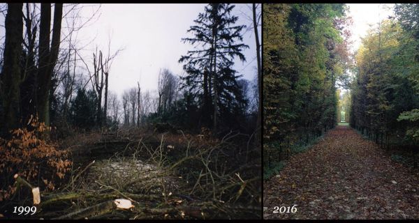 Le jardinier et le projet, pour une adaptation aux changements climatiques (2/2)