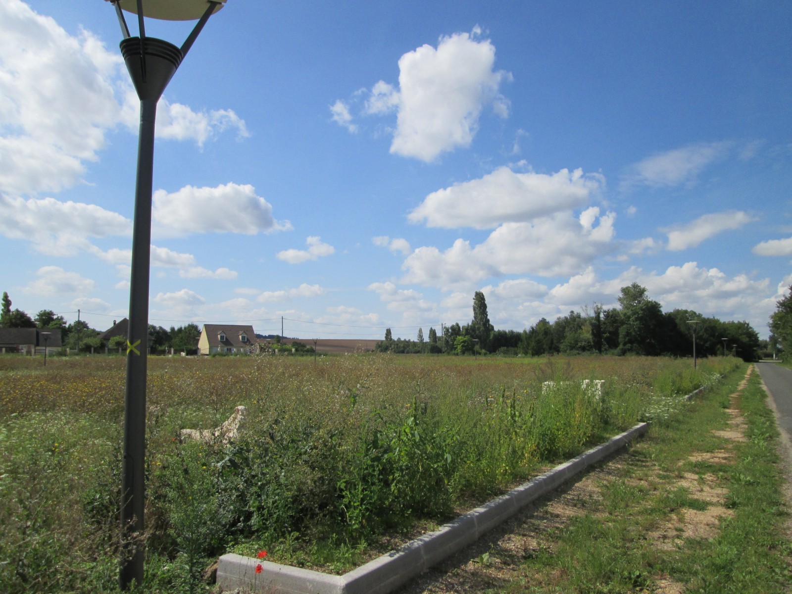 La Seine-et-Marne, département traditionnellement agricole, aujourd’hui situé aux portes du Grand Paris, connaît une inexorable pression urbaine. La CDPENAF oeuvre à tempérer cette pression et à maintenir un juste équilibre. © DDT77, Guillaume Fenat. La Seine-et-Marne, département traditionnellement agricole, aujourd’hui situé aux portes du Grand Paris, connaît une inexorable pression urbaine. La CDPENAF oeuvre à tempérer cette pression et à maintenir un juste équilibre. © DDT77, Guillaume Fenat.