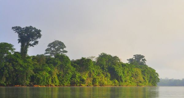 La charte du Parc national amazonien de Guyane