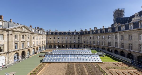 L’écologie éclot sur les toits de Paris ; un pas de plus vers l’agriculture urbaine
